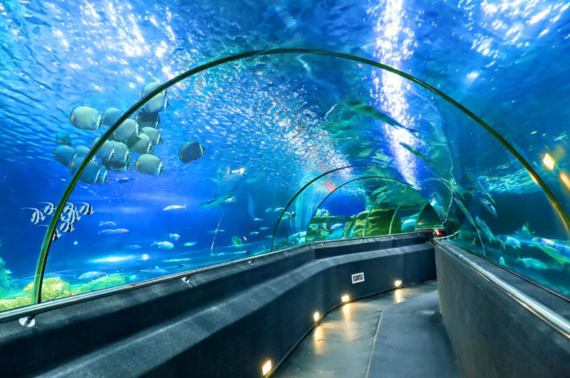 Vinpearl Land Aquarium Nha Trang