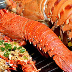 Lobster Dish at Con Dao Island Vietnam