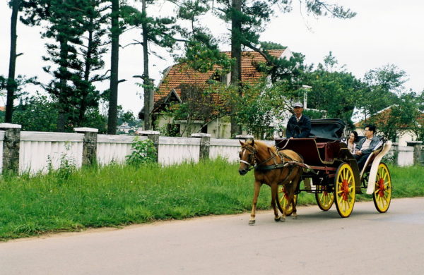 Horse riding tour in Da Lat, Vietnam