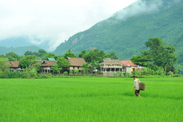 A Thai Village in Mai Chau