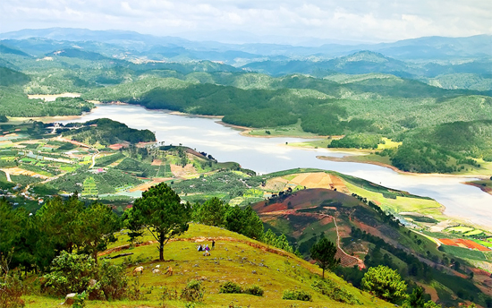 how to get to da lat Vietnam